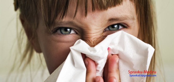 Справка о контактах Справка о контактах