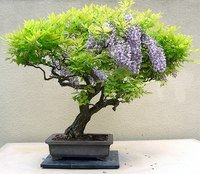 Купить справку о контактах